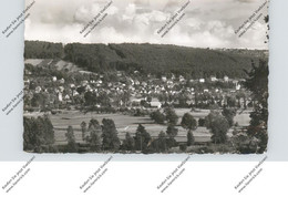 6123  BAD KÖNIG, Gesamtansicht 1957 - Bad König