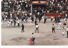 Pamplona Fiestas De San Fermin - Corrida