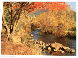 (AA 5) Australia - Autumn By The River - Outback