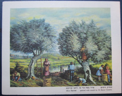 ISRAEL SHANA TOVA NEW YEAR MOUTH FOOT PAINTER ARTIST CROCETTA JUDAICA JUIF JEWISH CARD POSTCARD CARTOLINA ANSICHTSKARTE - New Year