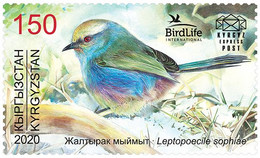 KYRGYZSTAN 2020 KEP 159 Bird Of The Year – The White-browed Tit-warbler - Mint Stamp - Kirgisistan