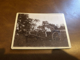 Les Vendines * Photo Ancienne Albuminée 1913 * Attelage à âne - Autres & Non Classés