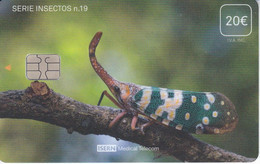 ISN-318 TARJETA DE ESPAÑA DE ISERN DE LA SERIE INSECTOS Nº19 - INSECT - Andere & Zonder Classificatie