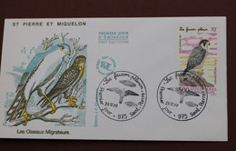 MARIANNE St Pierre & Miquelon 1997 - Enveloppe 1er Jour Du 28-05-97 Timbre Poste Aérienne N°76 : Faucon Pélerin - Storia Postale