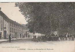 CPA 34 GIGNAC AVENUE DE MONTPELLIER L'ESPLANADE BELLE ANIMATION - Gignac