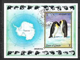 Umm Al Qiwain     Bloc  Du N° 630  Oblitéré     B/TB   - Fauna Antartica