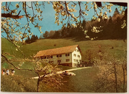 REIGOLDSWIL - BERGWIRTSCHAFT HINTER WASSERFALLEN - Reigoldswil