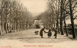 Montdidier * Esplanade Du Prieuré * Enfants Ramassant Du Bois - Montdidier