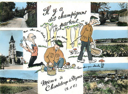 Carte Semie Moderne GRAND Format De CHANTELOUP Les VIGNES - Chanteloup Les Vignes