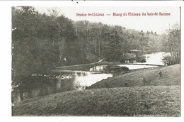 CPA Carte Postale-Belgique-Braine Le Château Etang Du Château Du Bois De Samme -VM25102m - Braine-le-Chateau