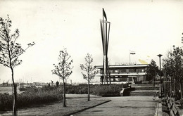 Nederland, SCHIEDAM, Cafe-Restaurant Europoort (1964) Ansichtkaart - Schiedam