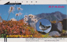 TC Ancienne JAPON / 110-13357 B - ANIMAL - OISEAU - LAGOPEDE - GROUSE BIRD JAPAN Phonecard - 5266 - Gallináceos & Faisanes