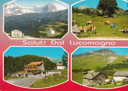 Saluti Dal Lucomagno - Formato Grande Viaggiata – E 17 - Agno