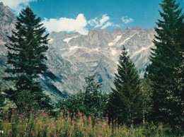 Valsenestre - Roche De La Muzelle - Formato Grande Non Viaggiata – E 17 - Vals