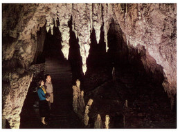 (AA 10) New Zealand - Waitomo Caves - Nuova Zelanda
