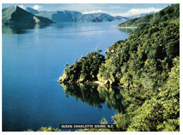 (AA 10) New Zealand -  Queen Charlotee Sound (posted To Australia) - Nuova Zelanda