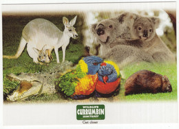 Wildlife Currumbin Sanctuary - 'Get Closer' - (Queensland, Australia) - Gold Coast