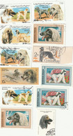 12  TRES BEAUX TIMBRES ILLUSTRES AVEC DES  CHIENS LEVRIERS BARZOI , AFGAN , WHIPPET, GREYHOUND  ...... - Dogs