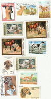 12  TRES BEAUX TIMBRES ILLUSTRES AVEC DES  CHIENS LEVRIERS  WHIPPET, GREYHOUND , PETIT LEVRIER ITALIEN...... - Dogs