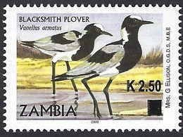 Zambia 2014 Blacksmith Lapwing Plover Anitibyx Armatus Overprint K2.50 On A Michel 1704 Mint. - Palmípedos Marinos