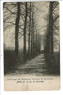 CPA Carte Postale-Belgique-Saventhem- Pensionnat Des Religieuses Ursulines-Allée N. D. De Lourdes -1911-VM25105m - Zaventem