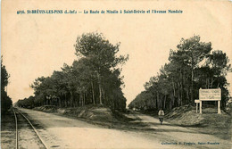 St Brévin Les Pins * La Route De Mindin Et L'avenue Mondain - Saint-Brevin-les-Pins