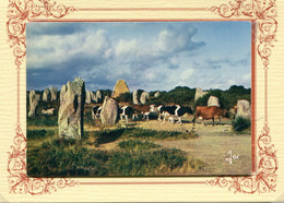 ***  CARNAC  *** VACHES AUX MENHIRS *** - Carnac