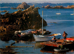 Ile De Bréhat * La Cale De Crec'h Simon * Attente De La Marée Haute Par Les Pêcheurs * Pêche - Ile De Bréhat