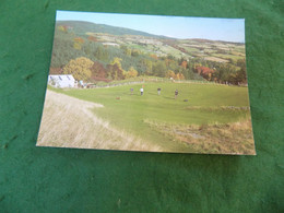 VINTAGE SCOTLAND: Strathpeffer Golf Course Colour Whiteholme - Ross & Cromarty