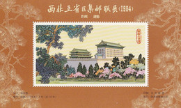 China Block Ohne Wertangabe 1984 Grau - Other & Unclassified