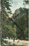 Ilsenburg - Ilsenstein - AK Ca. 1910 - Verlag R. Lederbogen Halberstadt - Ilsenburg