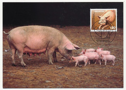 SUISSE => Carte Maximum => Protection Suisse Des Animaux - La Truie - 7/8/2004 BALE - Maximumkaarten