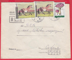 111K12 / Cover Bulgarian National Bank Form IV-40b , 1991 Horse Tarpan , Fungus Russula Vesca Mushroom , Bulgaria - Storia Postale