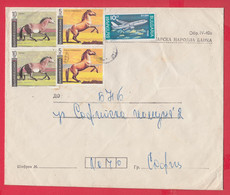 111K27 / Cover Bulgarian National Bank Form IV-40a ,  1991 Animal Przewalski's Horse Tarpan Airplane, Bulgaria Bulgarie - Covers & Documents