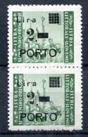 Z2252 ITALIA OCCUPAZIONI ISTRIA Litorale Sloveno 1946 Segnatasse 2 L., MNH**, Sassone N. 9a + 9, Coppia Varietà + Normal - Joegoslavische Bez.: Slovenische Kusten