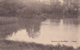 Strombeek Bever, Environs Du Dry Pikkel, L'étang (pk75554) - Bever