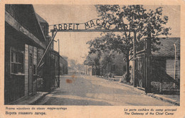 The Gateway Of The Chief Camp - Arbeit Macht Frei Oświęcim The Concentration Camp - Dachau - Shoa - Polen - Jews - History