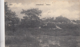 KALMTHOUT / DE DUINEN 1912 - Kalmthout