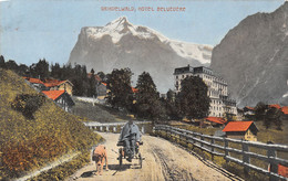 Grindelwald Hotel Belvédère - Attelage Avec Un Chien -  Hund - Grindelwald