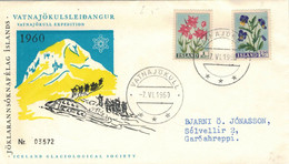 Island Vatnajökull 1960 - Gletscher-Forschung - Gletscherweidenröschen - Stiefmütterchen - Viola Tricolor Ch. Fleischeri - Cartas & Documentos