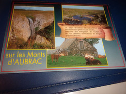 CPA CPSM  Lozere  Sur Les Monts D Aubrac - Aumont Aubrac