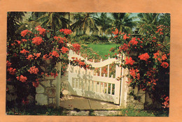 Bahamas Old Postcard Mailed - Bahamas