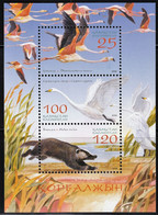 2006 Kazakhstan Kurgalzhinsky Nature Reserve: Greater Flamingo, Whooping Swan, Eurasian Badger MS (** / MNH / UMM) - Cygnes