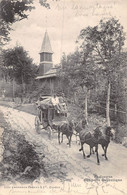 A-20-8715 : SAINT CERGUE. CHEVAUX. ATTELAGE CHEVAL. DILIGENCE - Saint-Cergue