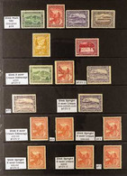 TASMANIA 1900 - 1905 VERY FINE MINT SPECIALIZED PICTORIAL COLLECTION Presented On Protective Pages Inc Various Printings - Other & Unclassified