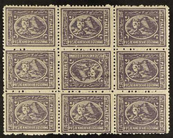 1874-75 2½pi Violet, Perf 12½, Watermark Inverted, SG 40bw, Fine Mint BLOCK OF NINE (3 X 3) WITH THE CENTRAL STAMP INVER - Altri & Non Classificati