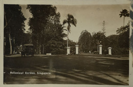 Singapore // Carte Photo - RPPC // Entrance Botanical Garden (Automobile) 19?? - Singapur