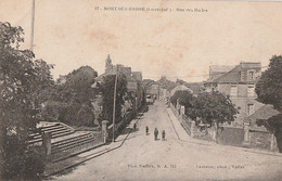 NORT-SUR-EDRE. - Rue Des Halles - Nort Sur Erdre