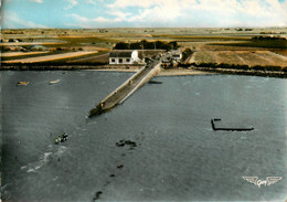 Beauvoir Sur Mer * Noirmoutier * Le Passage Du Gois * Le Continent * Restaurant Buvette - Beauvoir Sur Mer