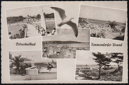 D-23669 Timmendorfer Strand - Ostseeheilbad - Alte Ansichten - Möwe ( Echt Foto) - Timmendorfer Strand